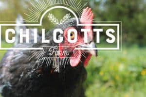 Free Range Chicken at Chilcotts Farm