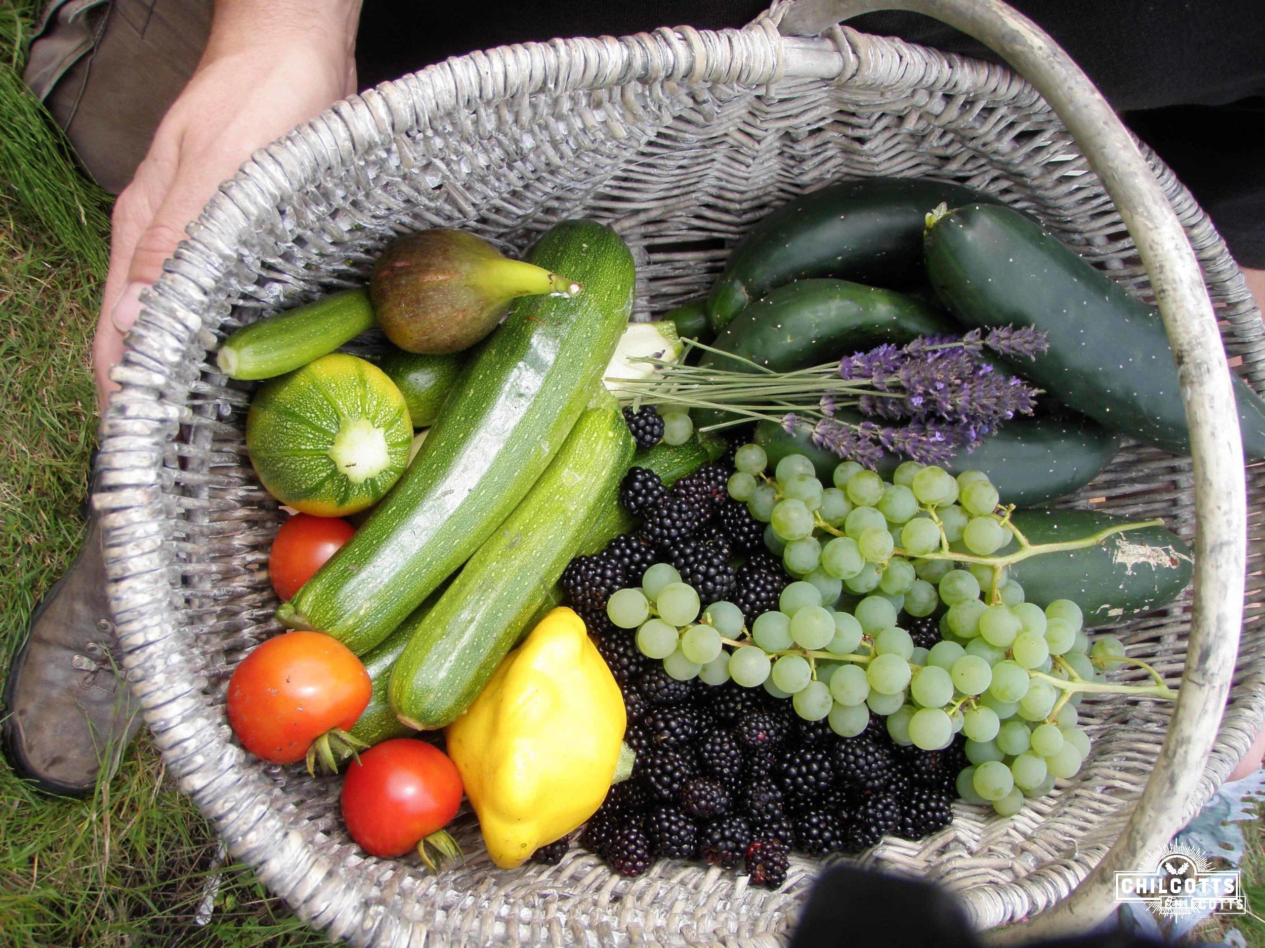 Basket of produce from Chilcotts Farm