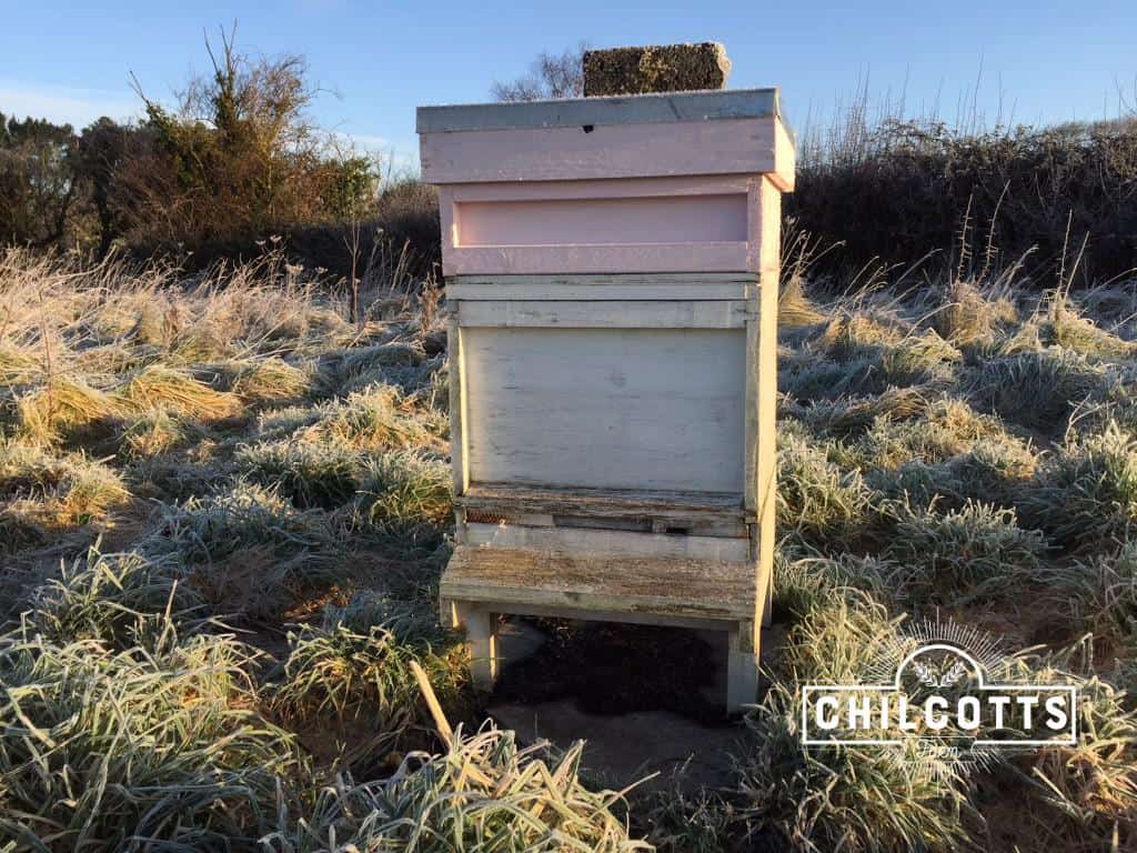 Beehive at chilcotts farm in January