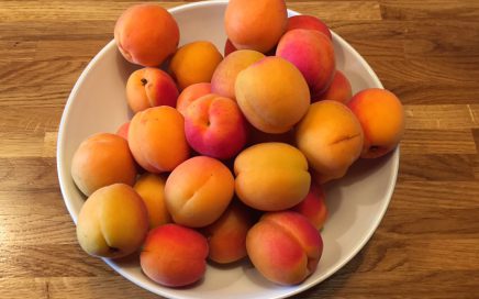 Fresh Apricots in a bowl to be prepared for Apricot Jam at Chilcotts Farm