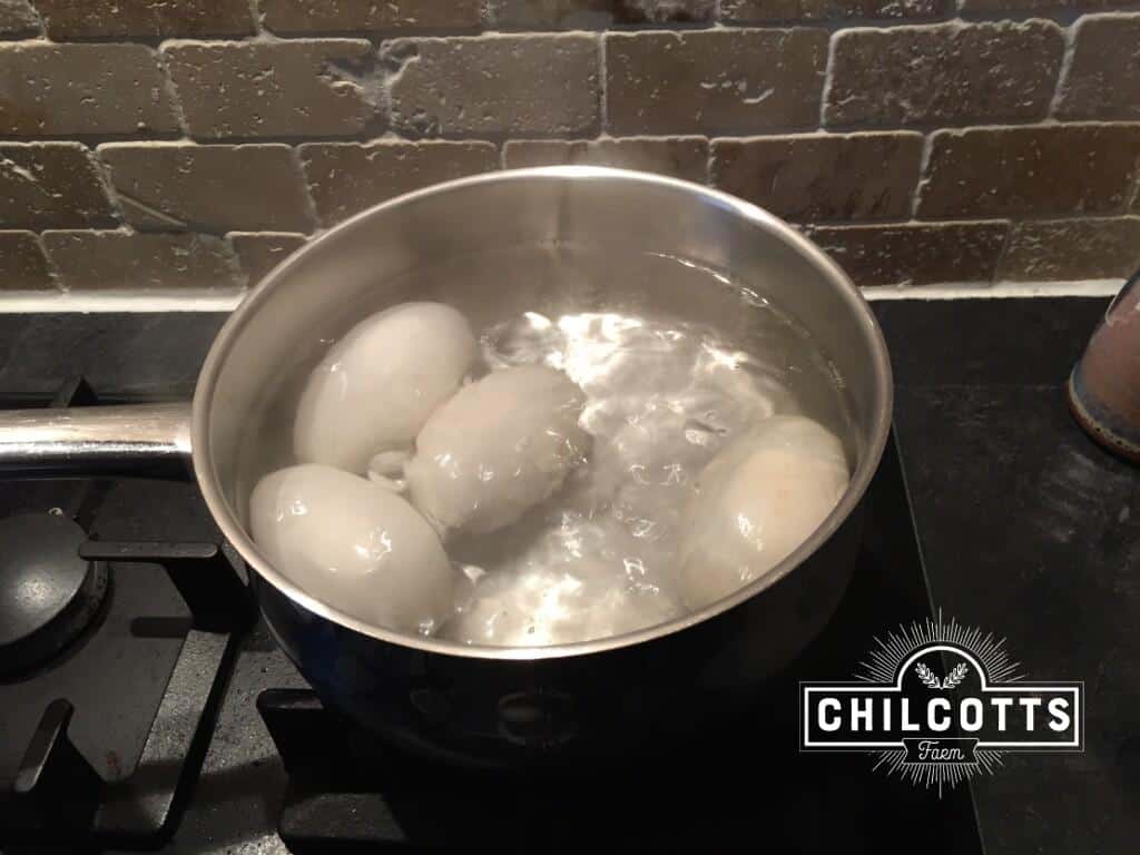 Geese Eggs, boiling on the stove.