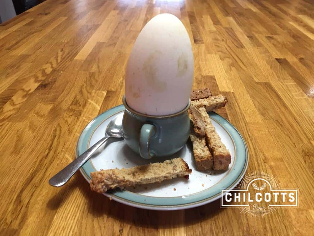 Soft Boiled Goose Egg with Soldiers Chilcotts Farm