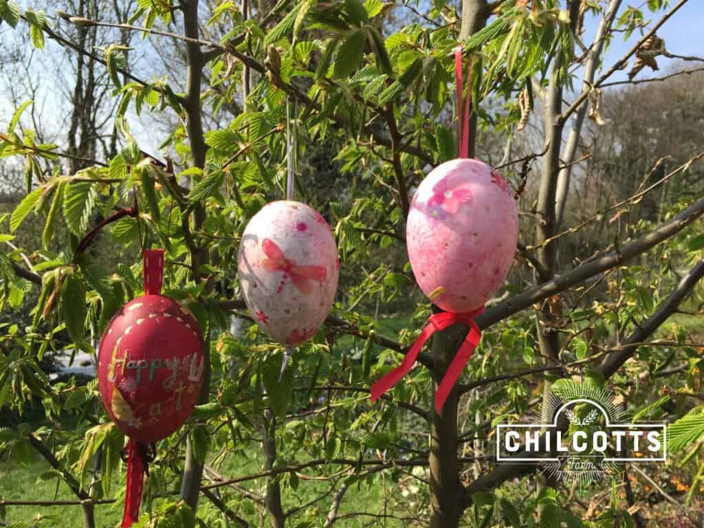 Decorated goose eggs swinging from a tree in spring - Easter