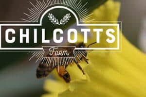 Honey Bee on Daffodil with a full pollen basket