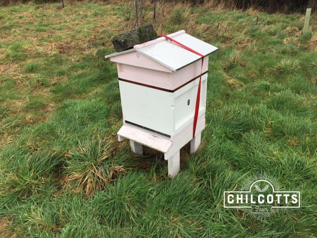 Strapped down beehive ready for the winds