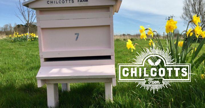 New beehive all prepared for the new season
