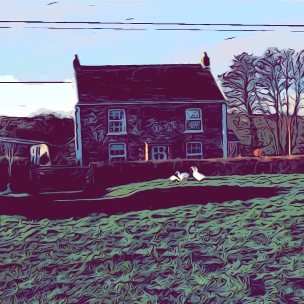 Chilcotts Farm - A Hobby Smallholding in North Devon