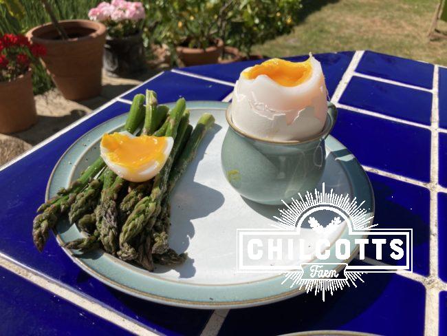 Soft Boiled Goose Egg and asparagus