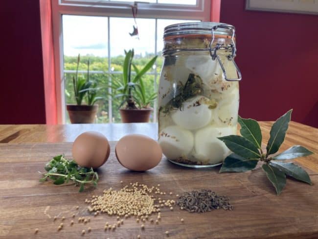 Pickled eggs