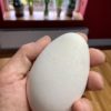 Goose Egg, North Devon 2022
